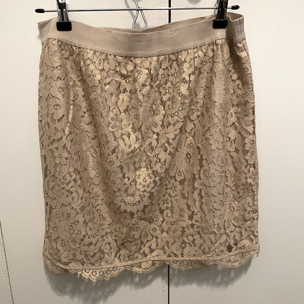 Joie lace skirt